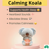 The Calming Koala